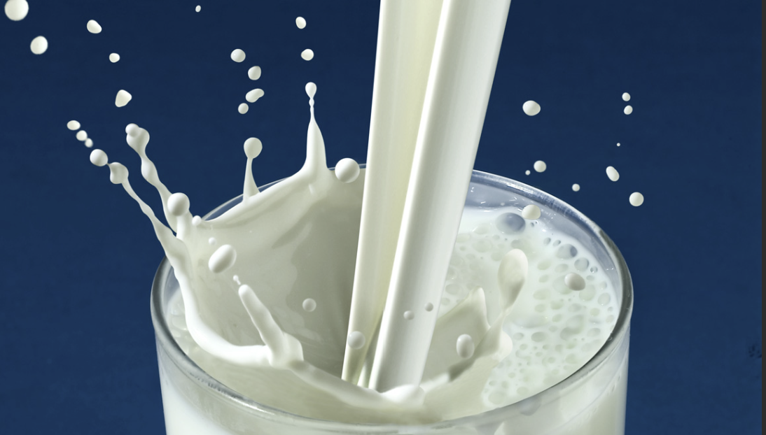 Dairy & Milk